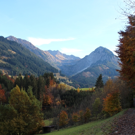 Hundetreffen 2016 im Allgäu (5)